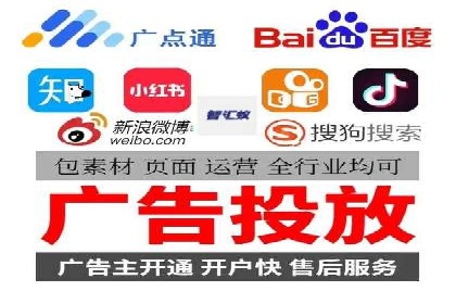 百度竞价与搜索引擎优化（SEO）结合的经典案例